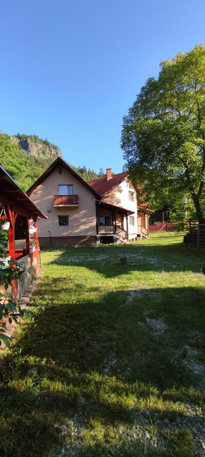 Olt-Part Vendeghaz Hotel BaileTusnad Exterior photo