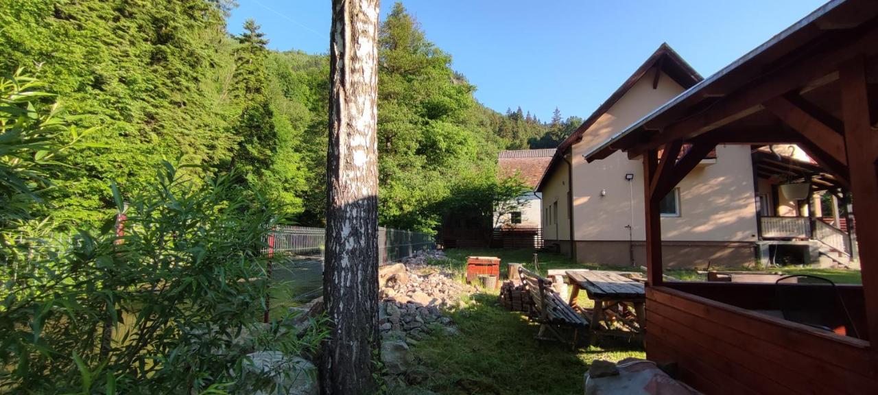Olt-Part Vendeghaz Hotel BaileTusnad Exterior photo